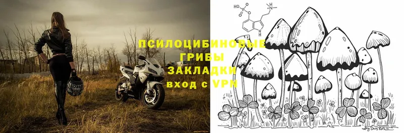 сайты даркнета состав  Белогорск  Псилоцибиновые грибы Psilocybine cubensis  купить наркотик 